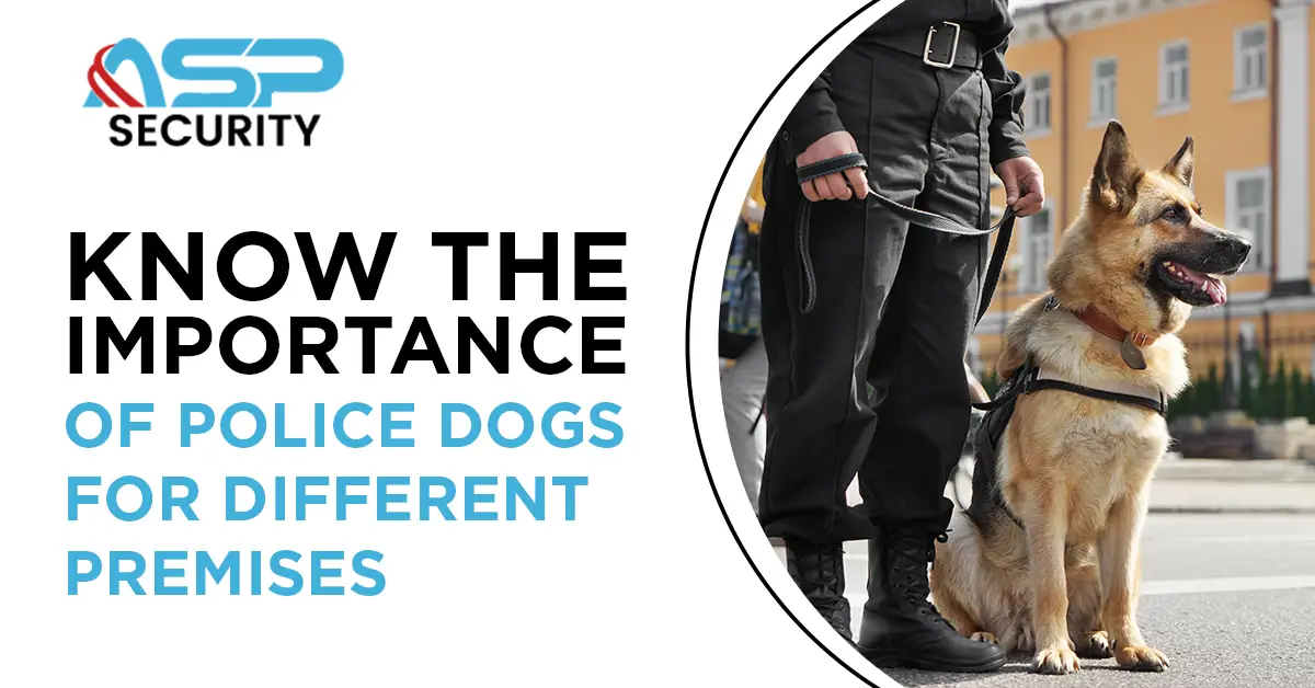 Know The Importance Of Police Dogs For Different Premises